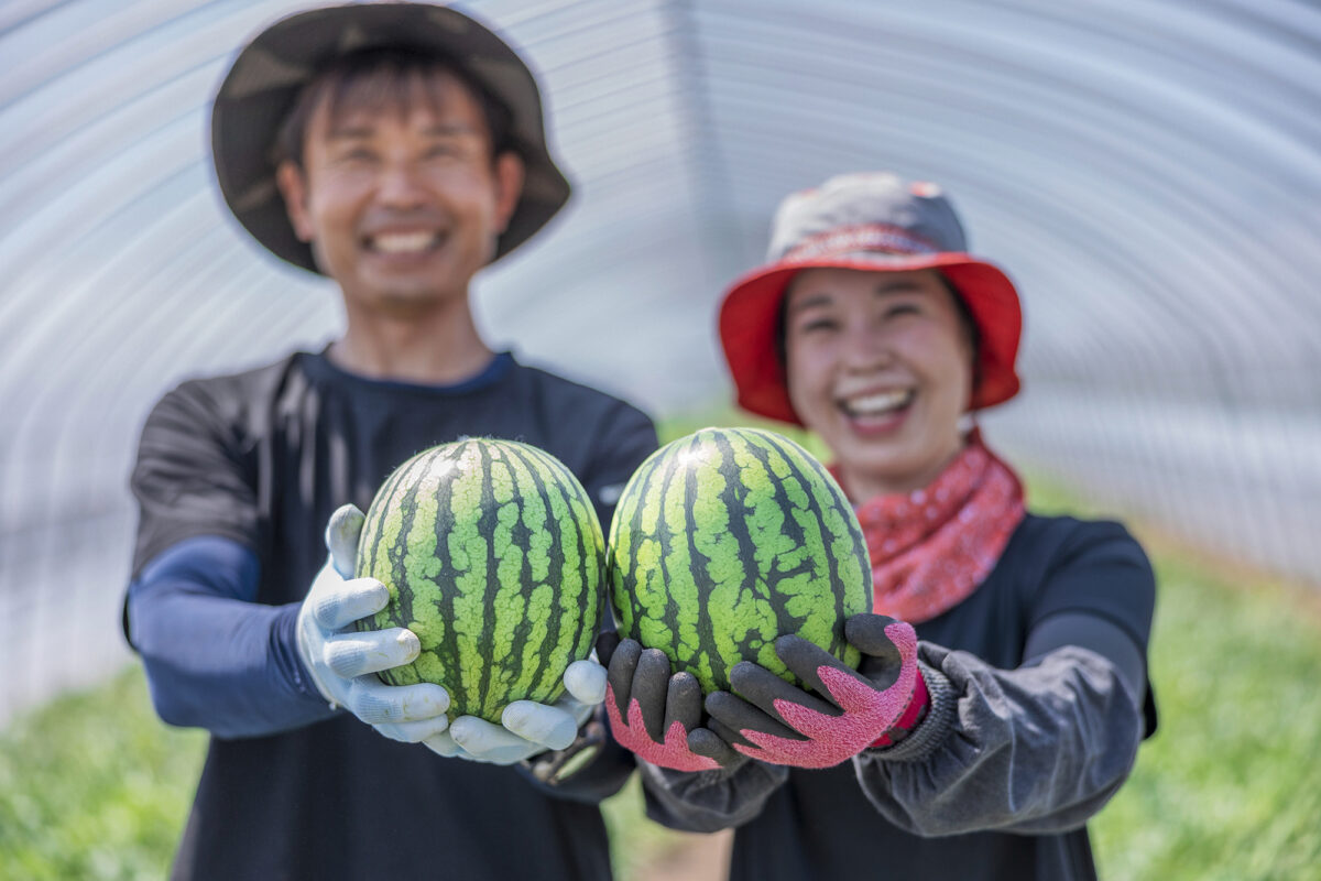 Watermelon Farmer in Furano 畠山農園